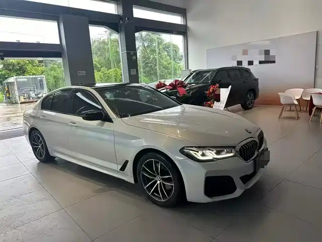 BMW 5 Series 525i, M Спорт-пакет
