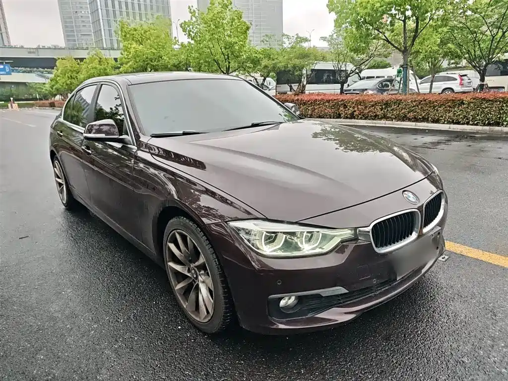 BMW 3 Series 2017 320Li Fashion фото 21