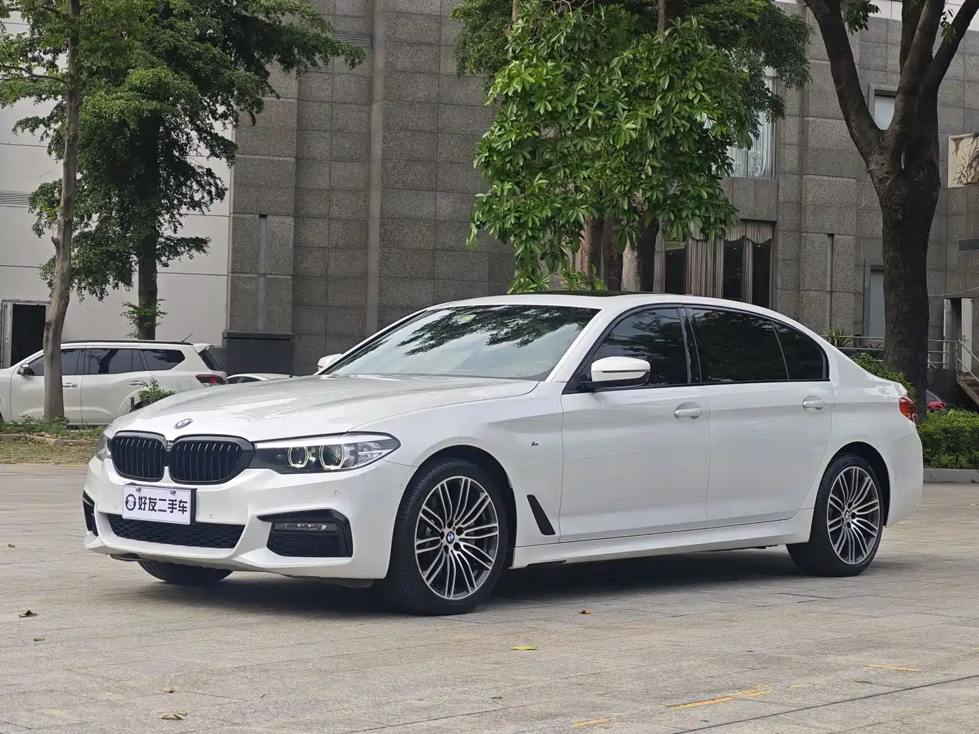 BMW 5 Series 2019 530Li Leading M Sport Package