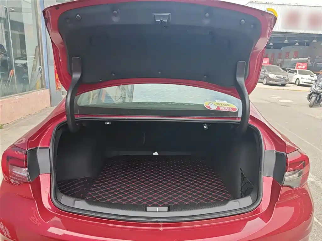 Buick Regal 2017 20T Elite Type фото 19