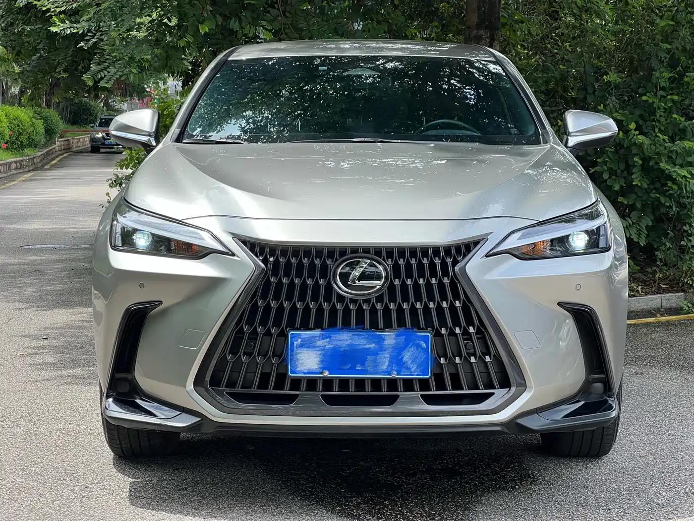 Lexus NX, миниатюра 2