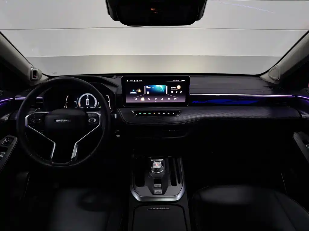 Haval First Love 2021 2021 1.5T Automatic Premium Edition