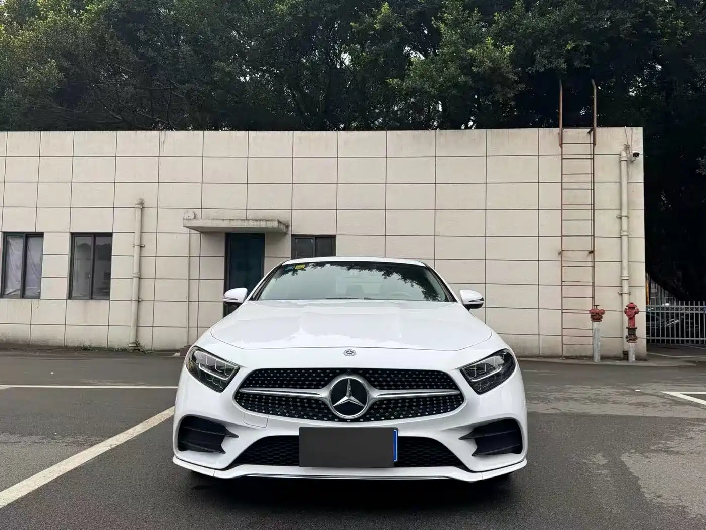 Mercedes-Benz CLS 2020 CLS 300 Dynamic фото 2