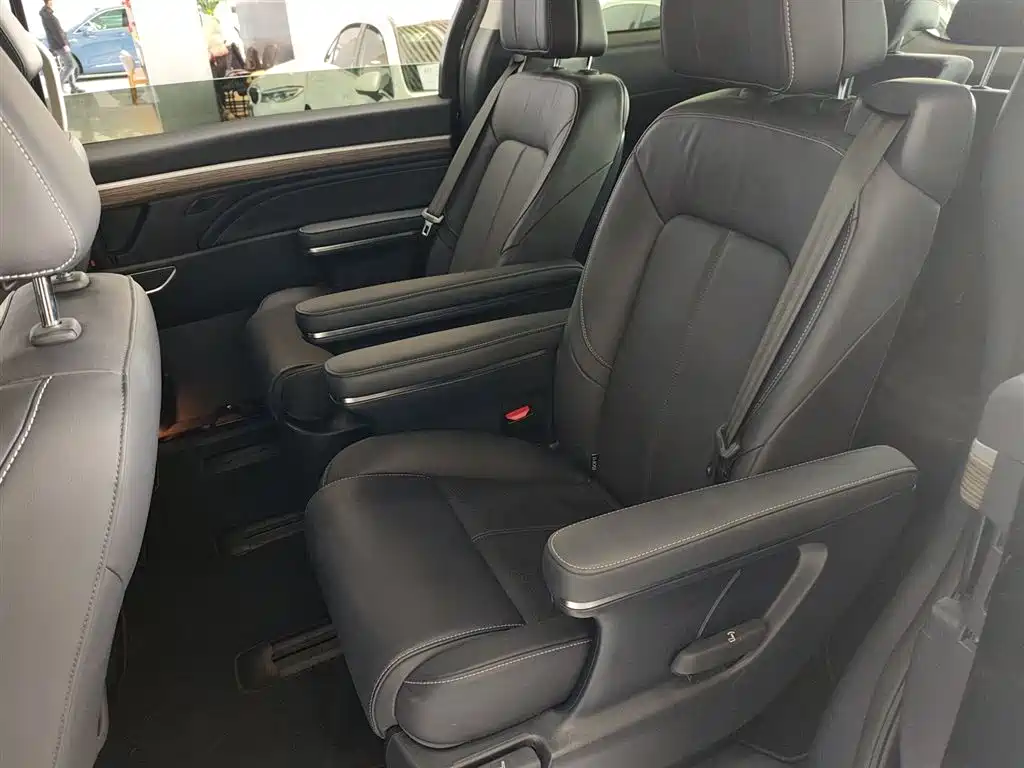 GAC Trumpchi Trumpchi M8 2023 Leading Series 390T Premium Edition фото 13