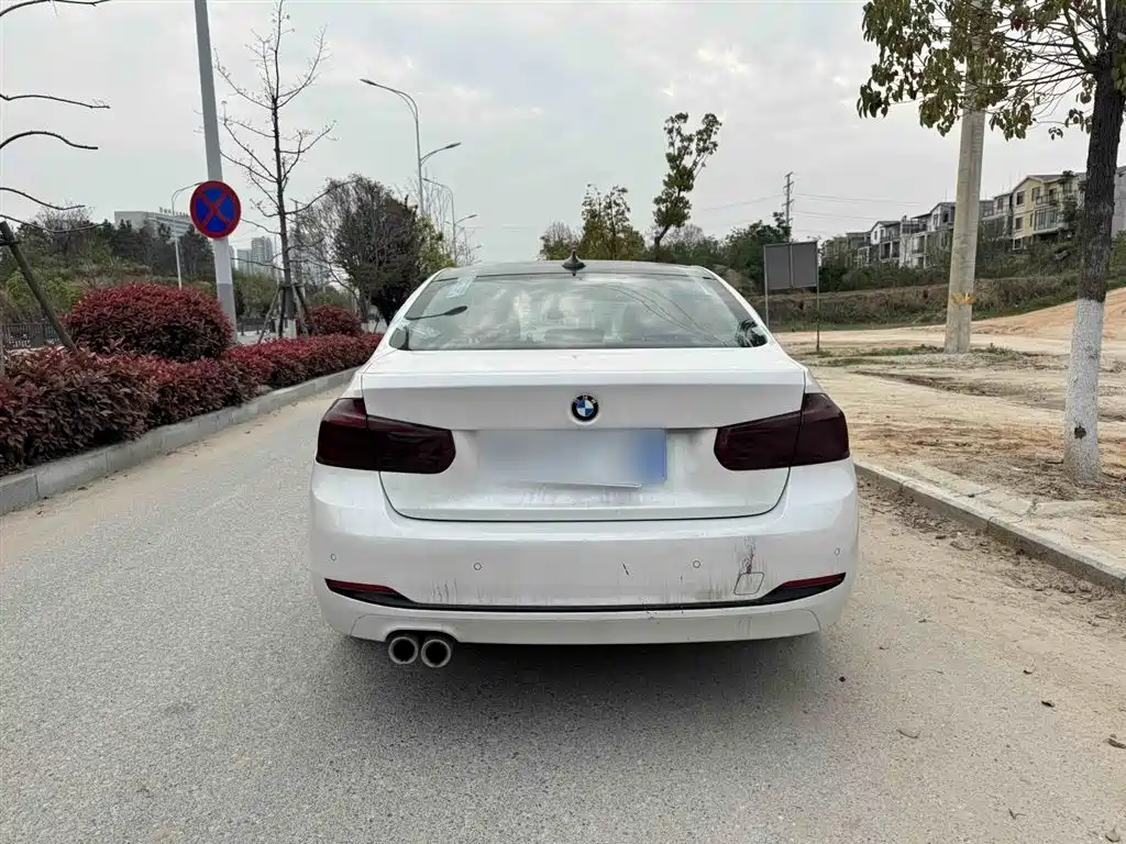BMW 3 Series 2019 320Li Fashion Type фото 7