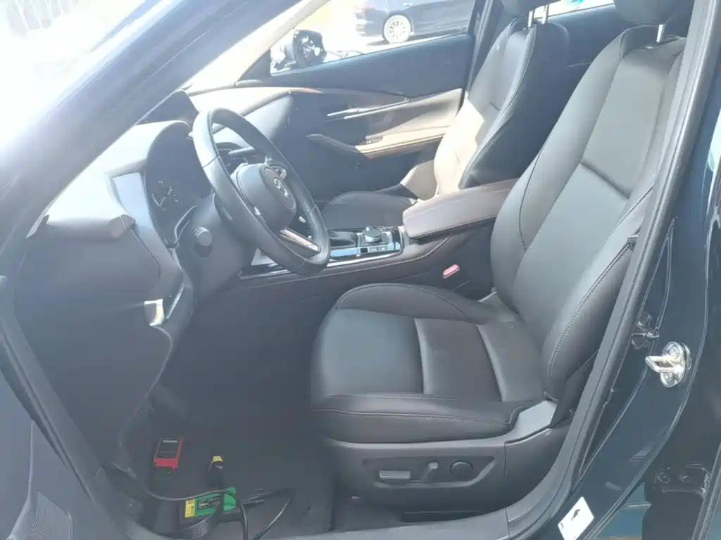Mazda CX-30 2021 2021 2.0L Auto Premium Joy Type
