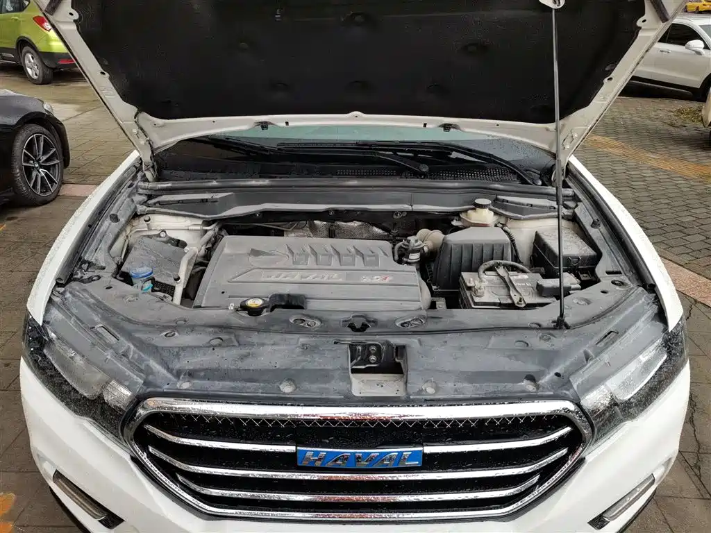 Haval H6 Coupe 2016 Blue Label 1.5T Automatic 2WD Urban фото 20