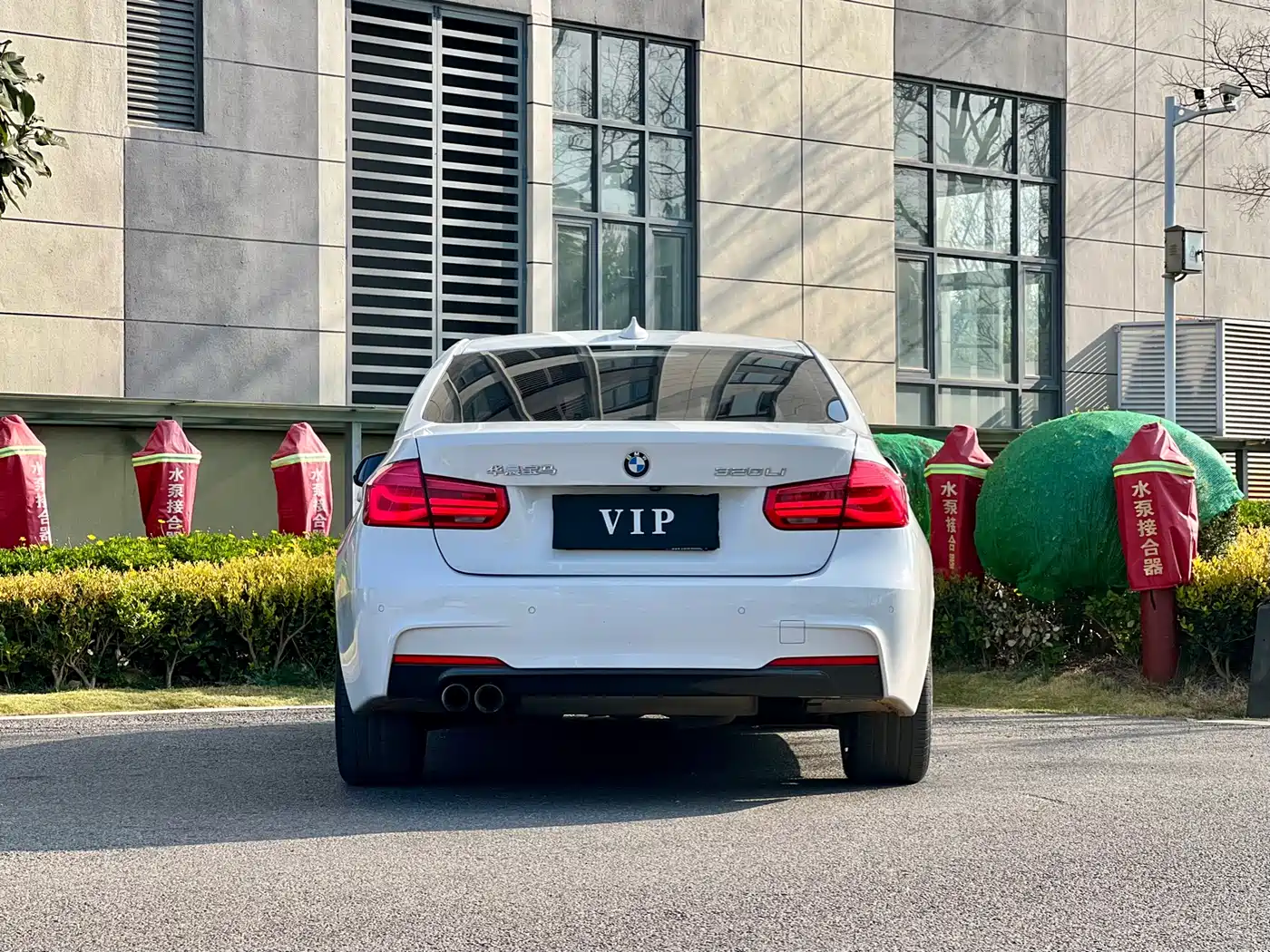 BMW 3 Series 2019 320Li M Luxury Package фото 8