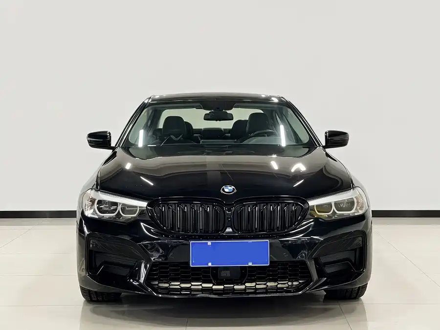 BMW 5 Series 2019 530Li Leading Luxury Package фото 2