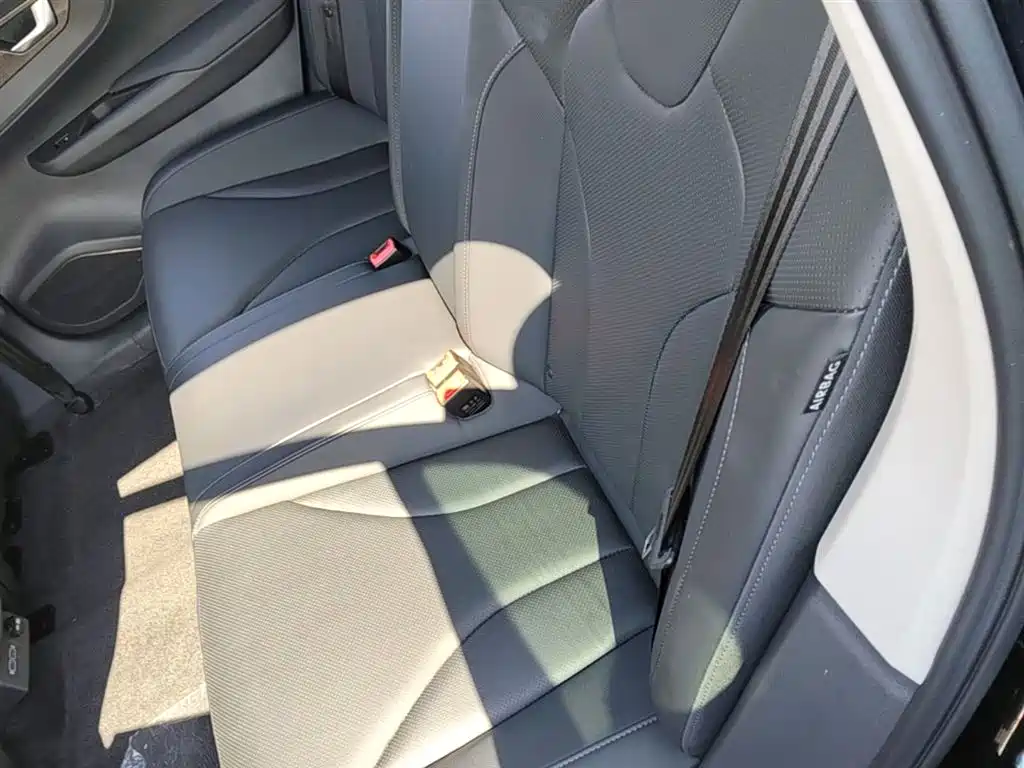 Hongqi E-QM5 2023 Facelift Basic Travel Edition фото 17