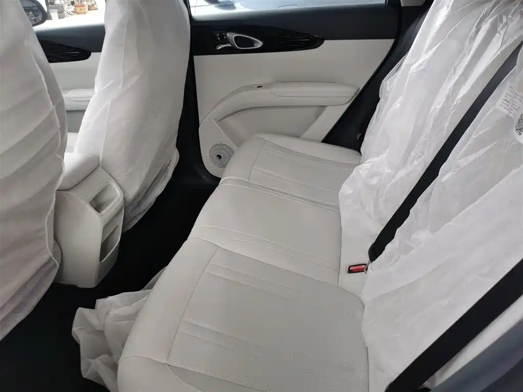 Geely Galaxy Starry Wish 2026 Edition Top Configuration фото 17