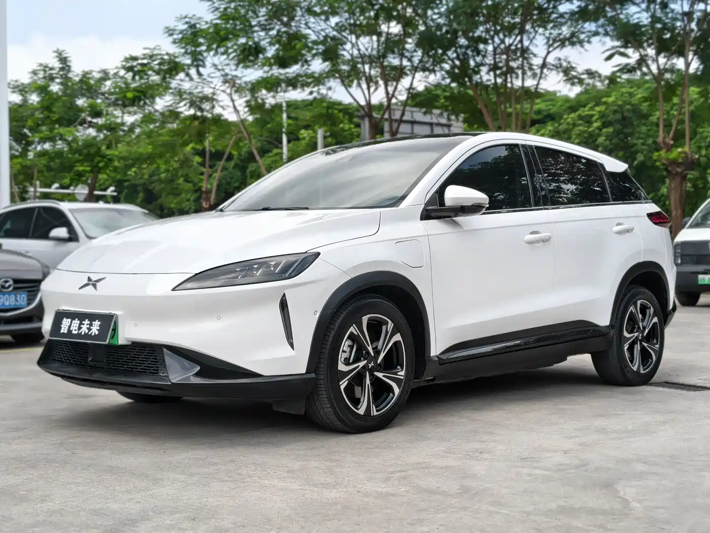 XPeng G3 2019 2020 520 Smart Edition