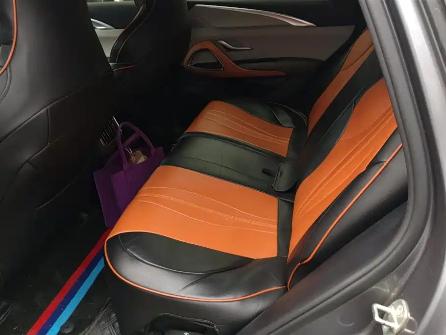 BYD Song Pro New Energy 2022 DM-i 51km Premium фото 11