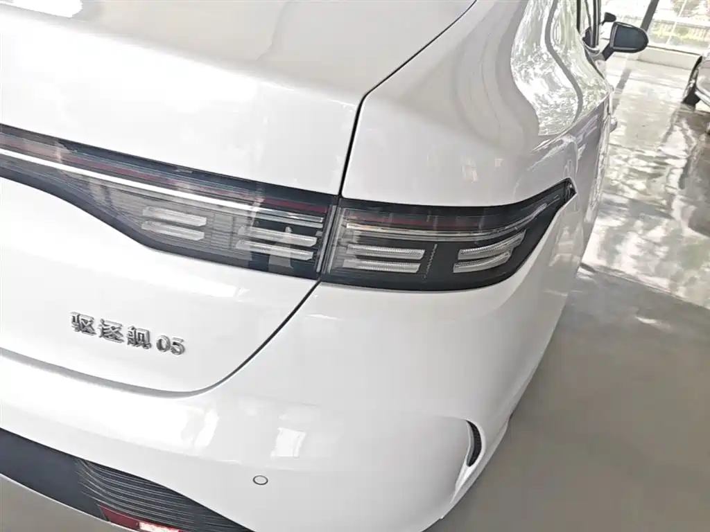 BYD Destroyer 05 2024 Glory Edition DM-i 55KM Luxury фото 8