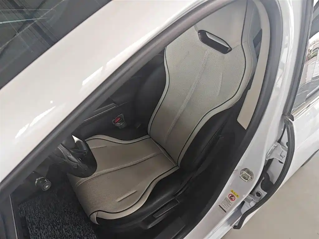 BYD Destroyer 05 2024 Glory Edition DM-i 55KM Luxury фото 15