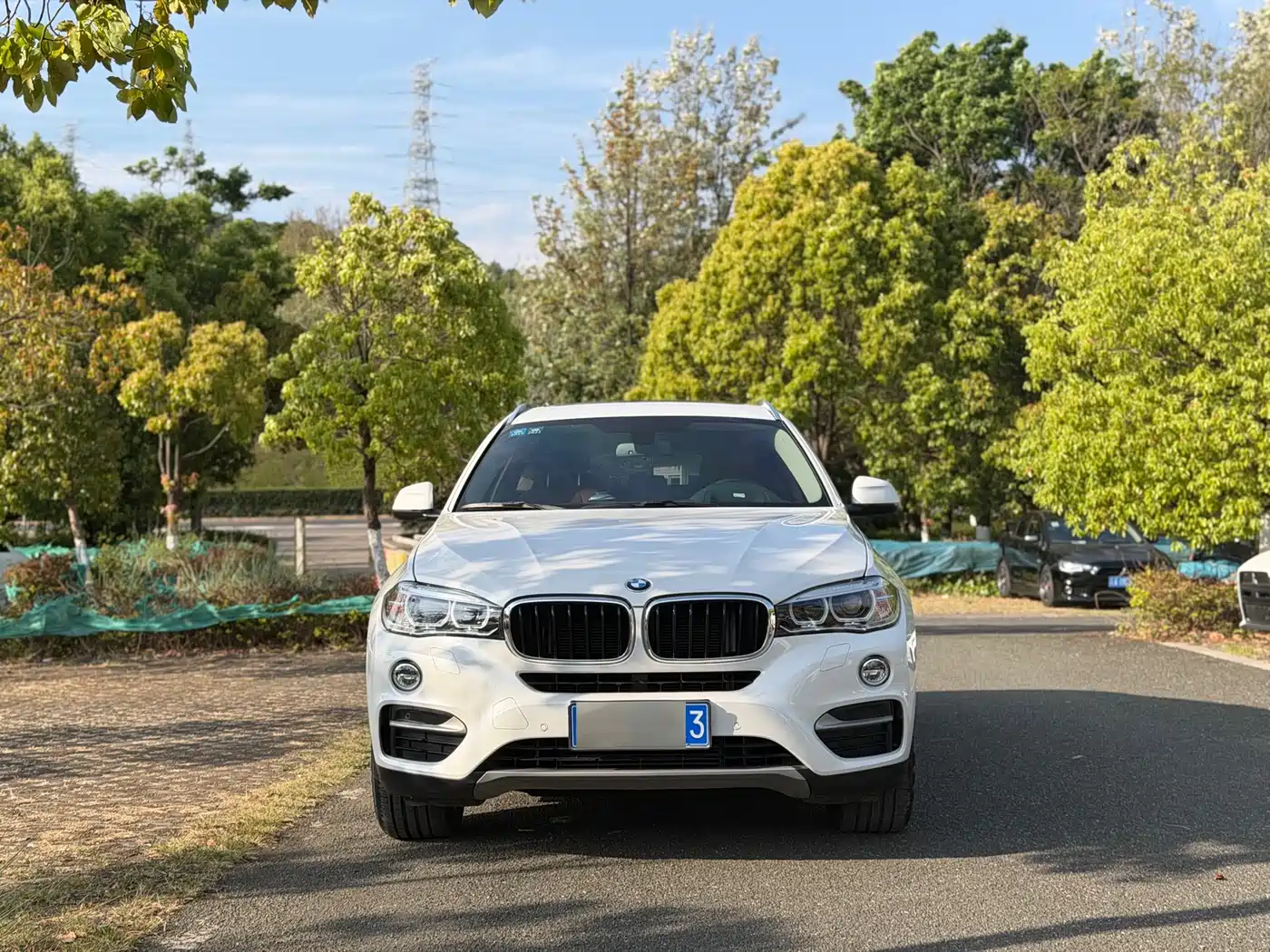 BMW X6 2015 xDrive35i Luxury Model фото 2