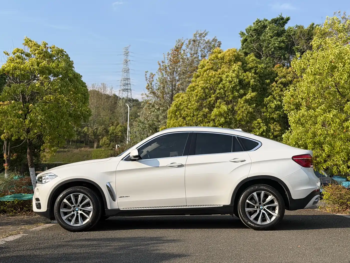 BMW X6 2015 xDrive35i Luxury Model фото 5