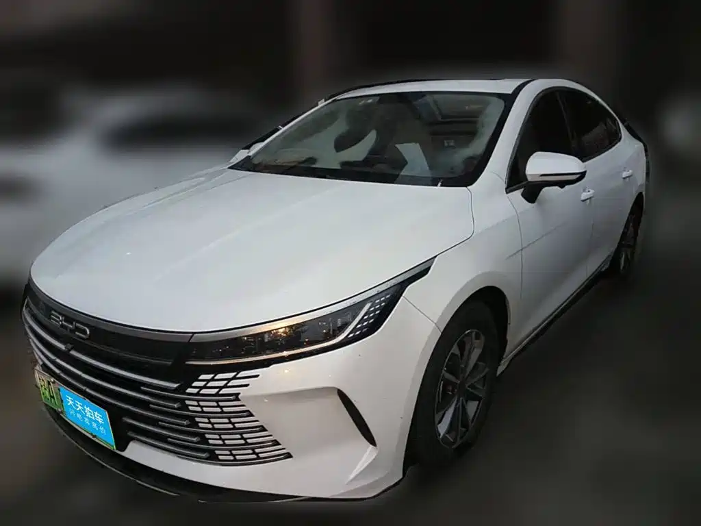 Фото 1 - BYD Destroyer 05