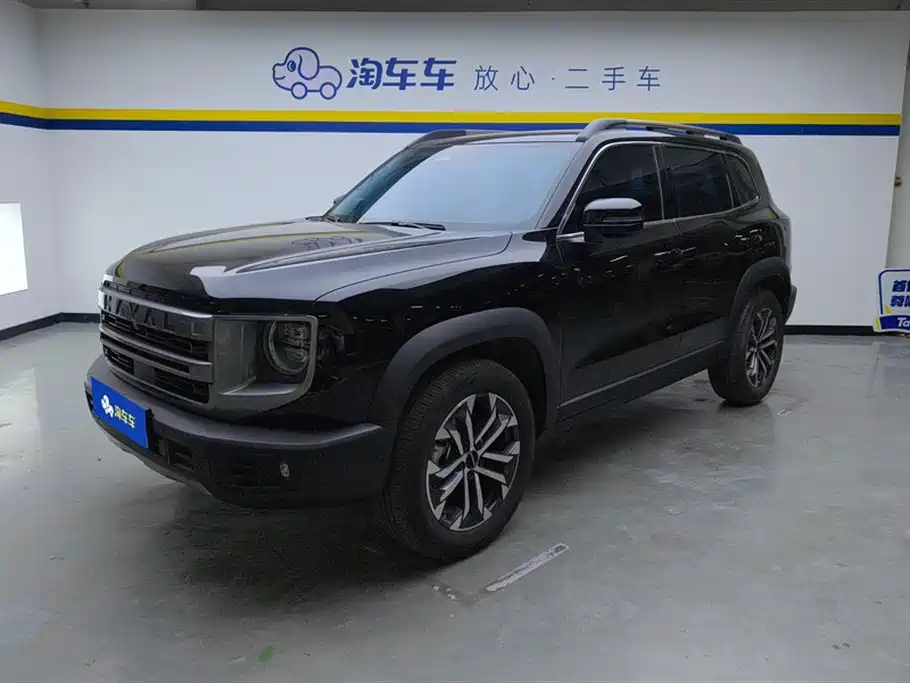 Haval Big Dog 2024 1.5T DCT Border Collie Edition