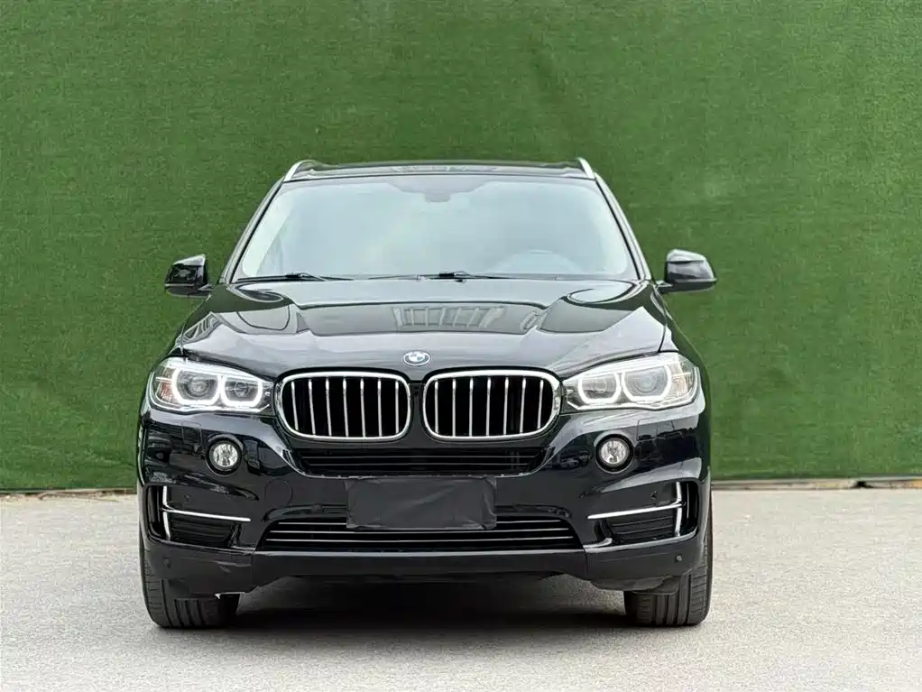 BMW X5 (Import) 2017 xDrive28i фото 2