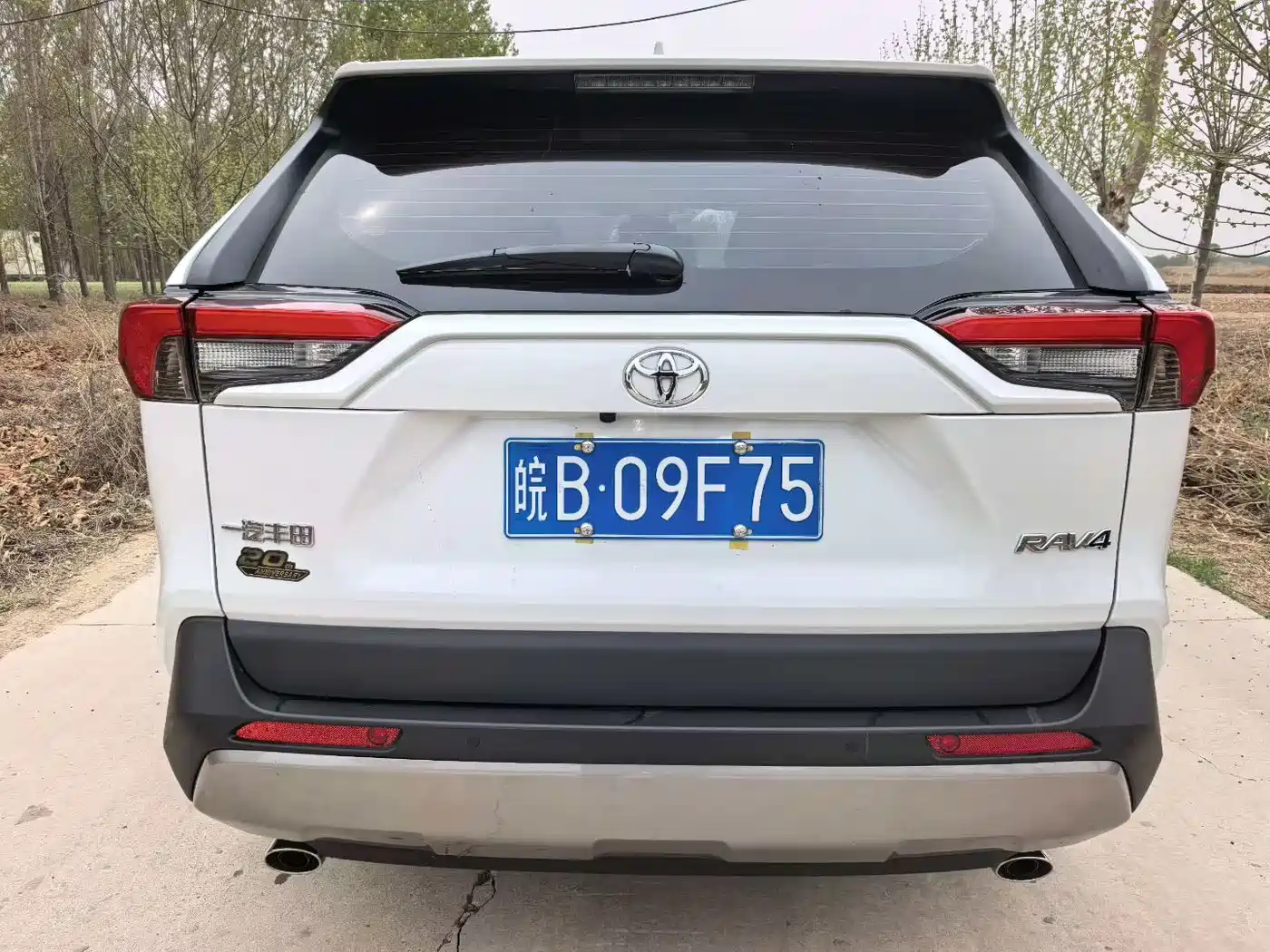Toyota RAV4 Rongfang 2023 2.0L CVT 2WD 20th Anniversary Platinum Edition фото 5