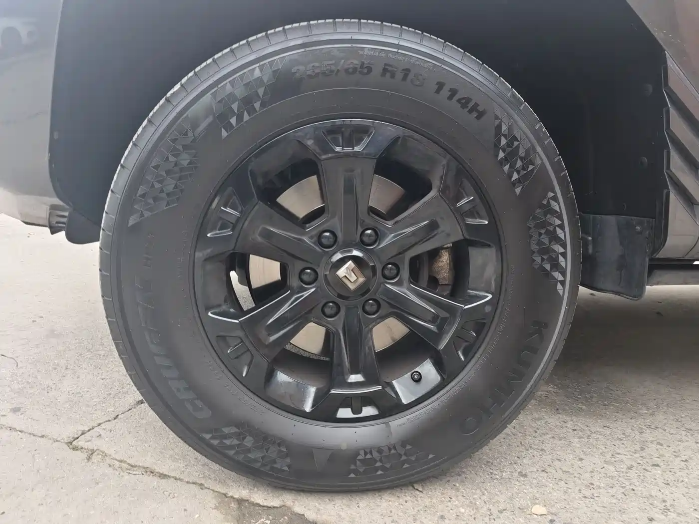 Tank 400 New Energy 2024 Hi4-T Off-Road Edition фото 16