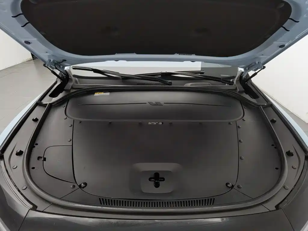 Фото 6 - Li Auto Li ONE