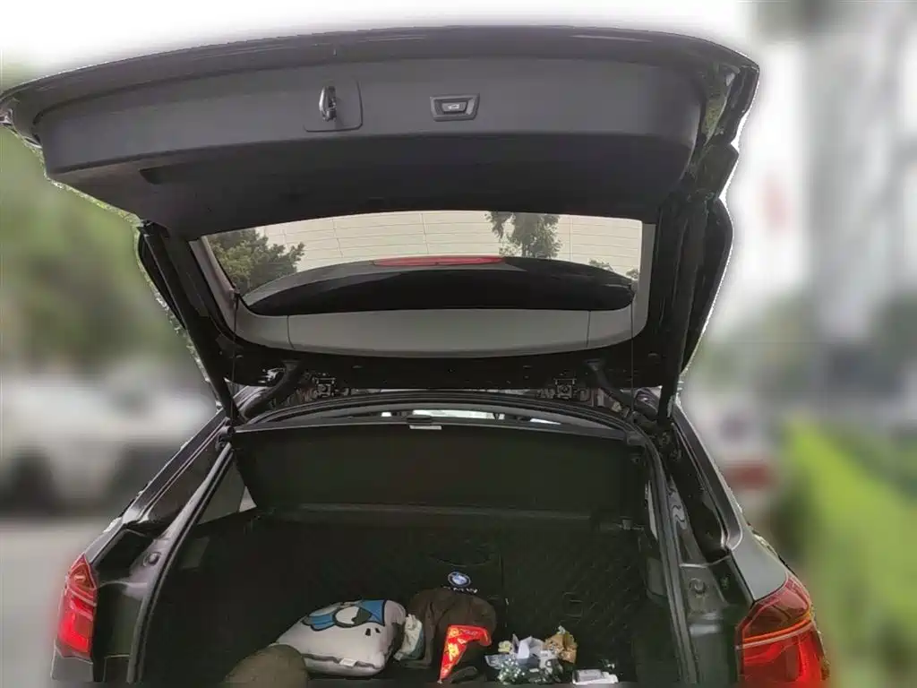 BMW X1 New Energy 2019 xDrive25Le Range Upgrade Edition фото 10