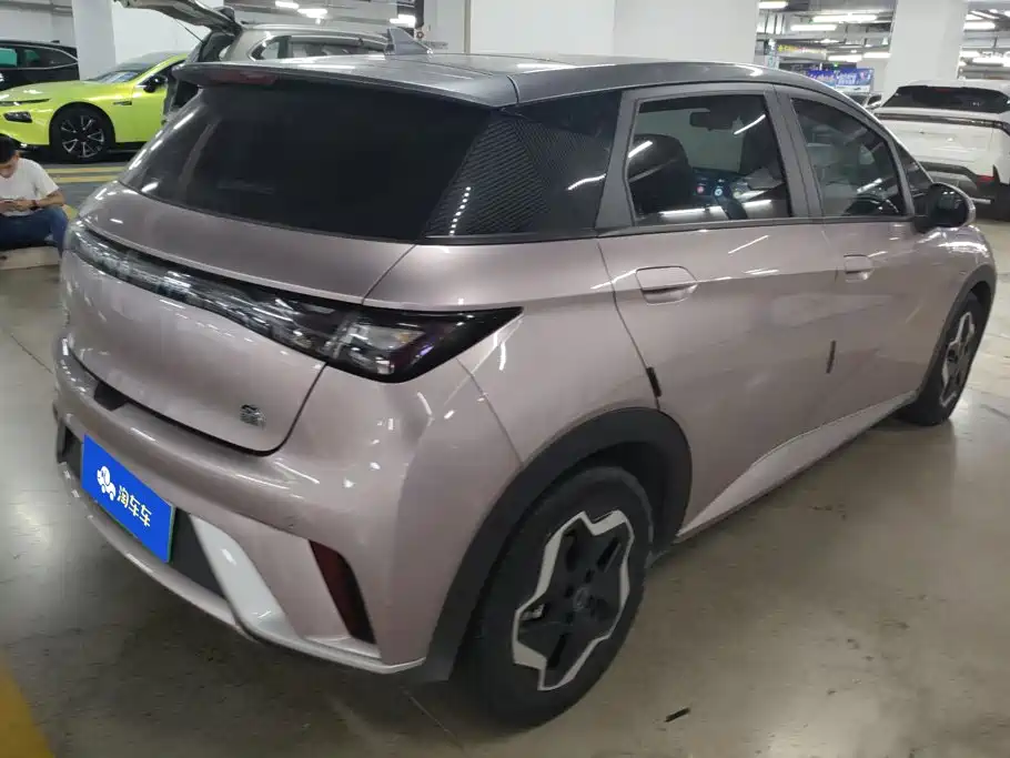 BYD Dolphin 2021 2021 Model 405km Fashion Edition