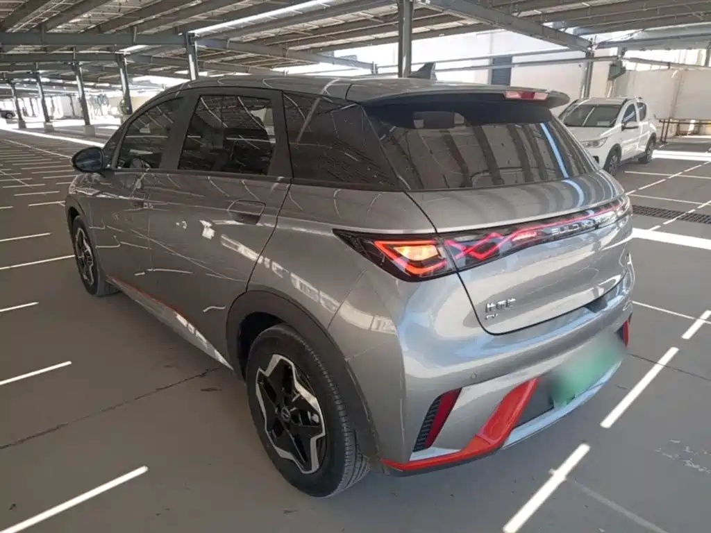 BYD Dolphin 2021 Model 405km Fashion Edition фото 5