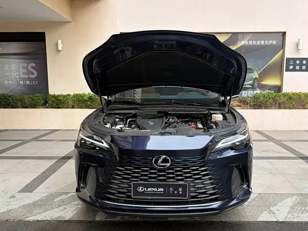 Фото 6 - Lexus RX