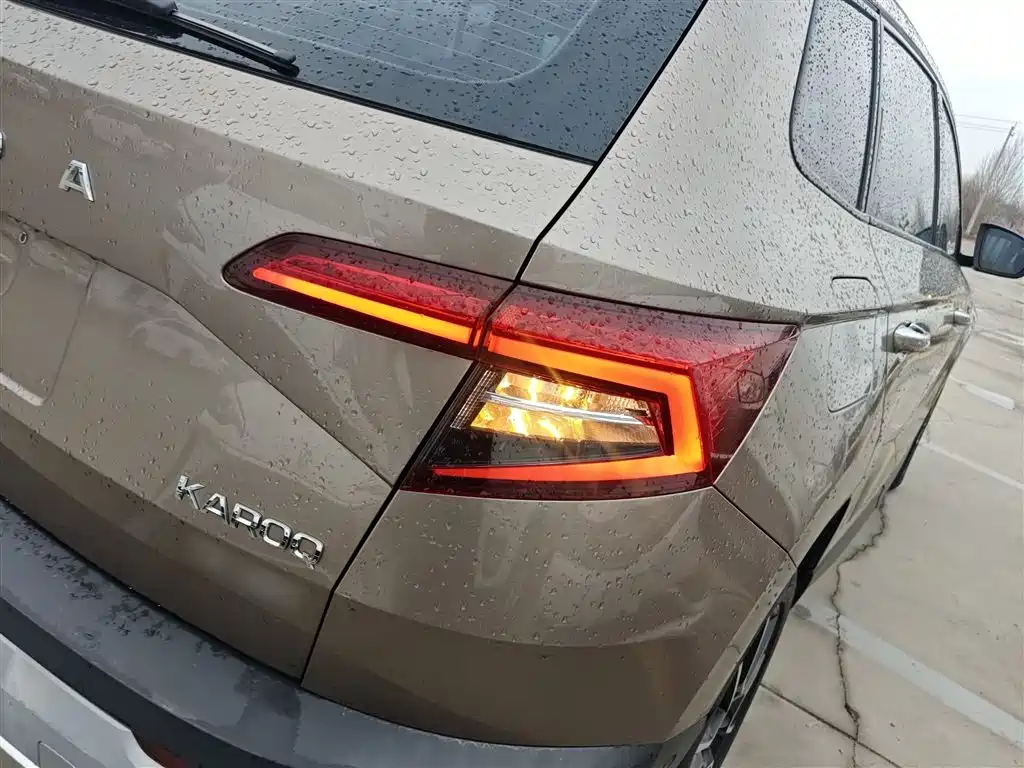 Škoda Karoq 2019 TSI280 Smart Drive Premium Edition China V фото 24