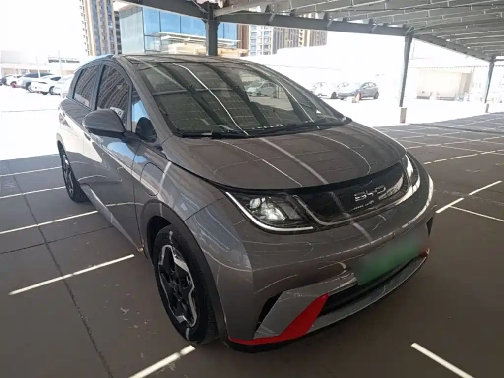 BYD Dolphin 2021 Model 405km Fashion Edition фото 4