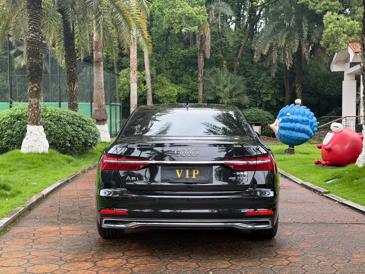 Audi A6L 2024 45 TFSI Premium Elegance фото 6