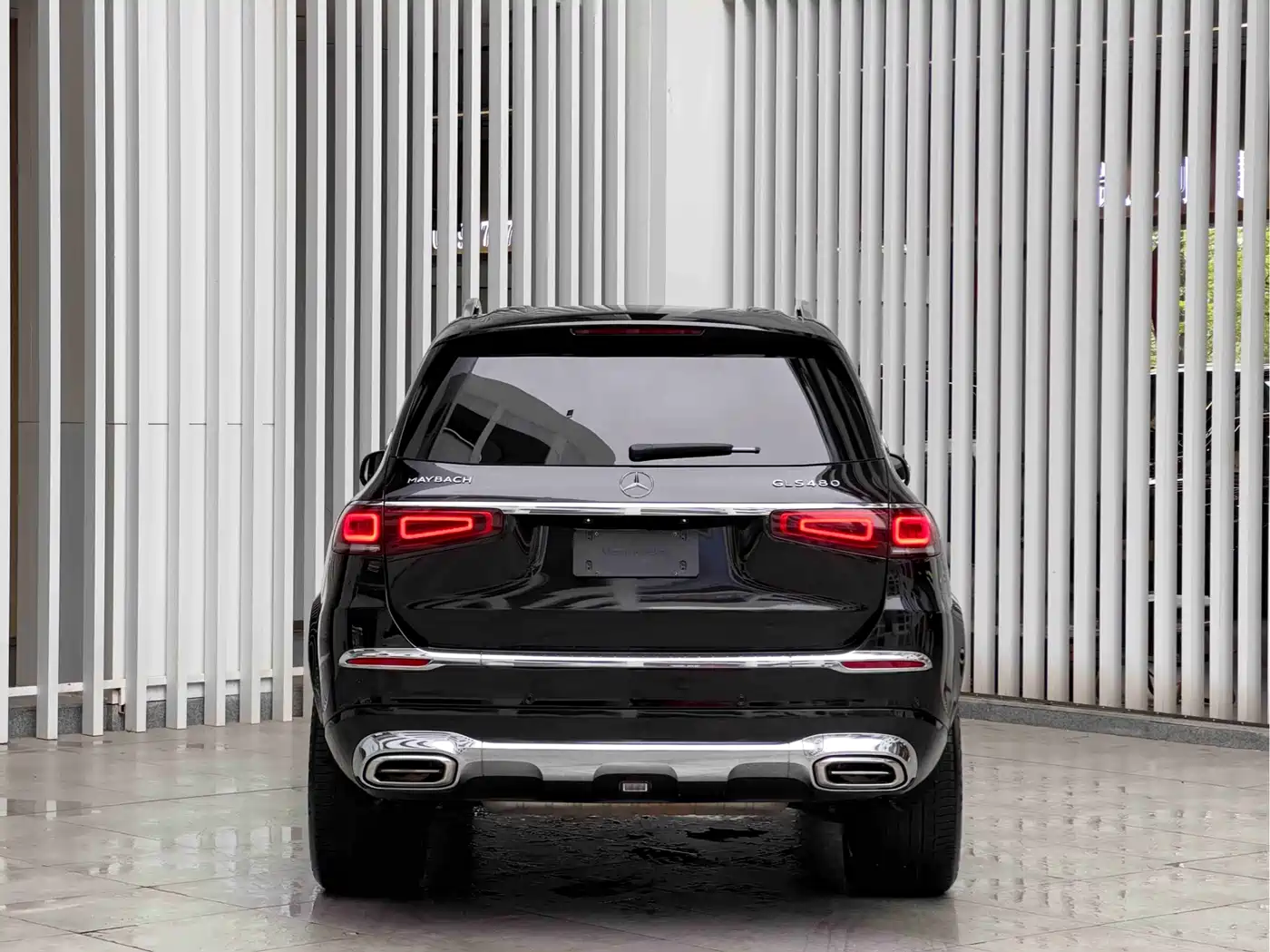 Mercedes-Benz Maybach GLS 2021 GLS 480 4MATIC фото 5