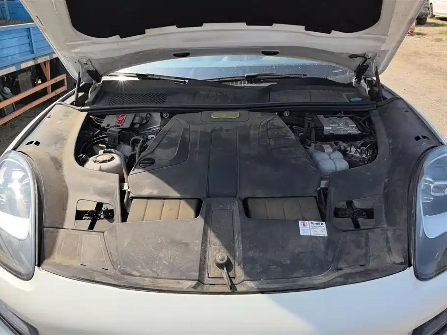 PORSCHE CAYENNE NEW ENERGY