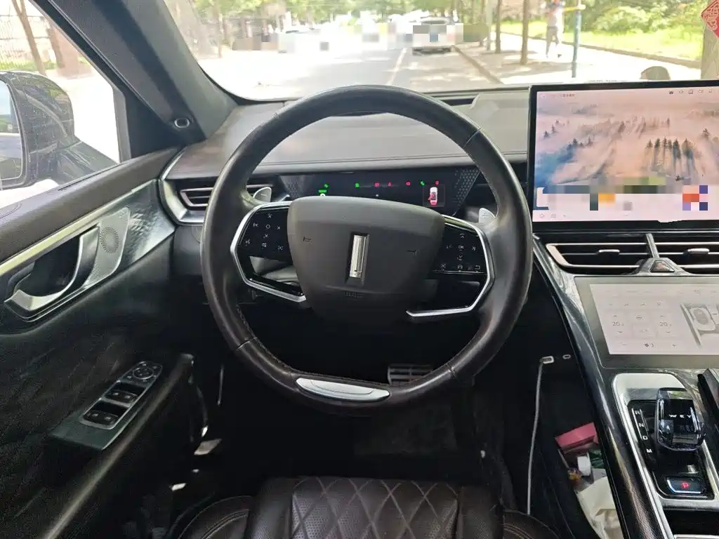 WEY Mocha 2021 2021 2.0T 2WD Premium Edition