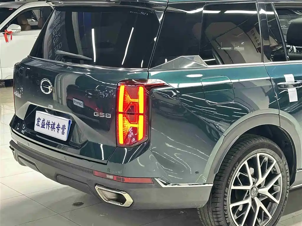 GAC Trumpchi Trumpchi GS8 2022 Pilot Series 2.0TGDI 2WD Premium Edition (6-Seater) фото 38