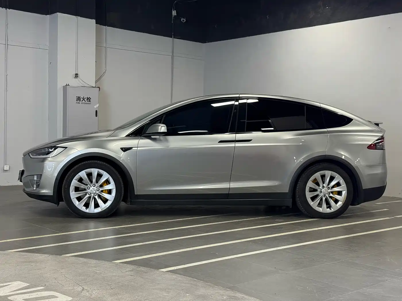 TESLA MODEL X