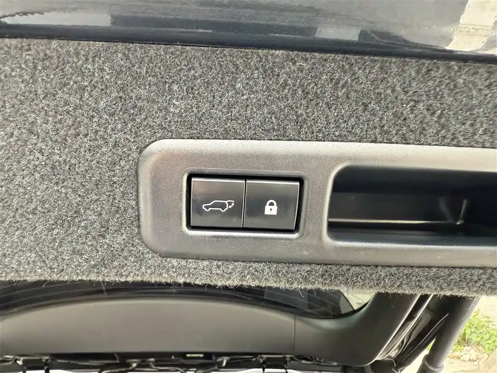 Lexus RX 2020 300 4WD Elegance Edition China VI фото 19