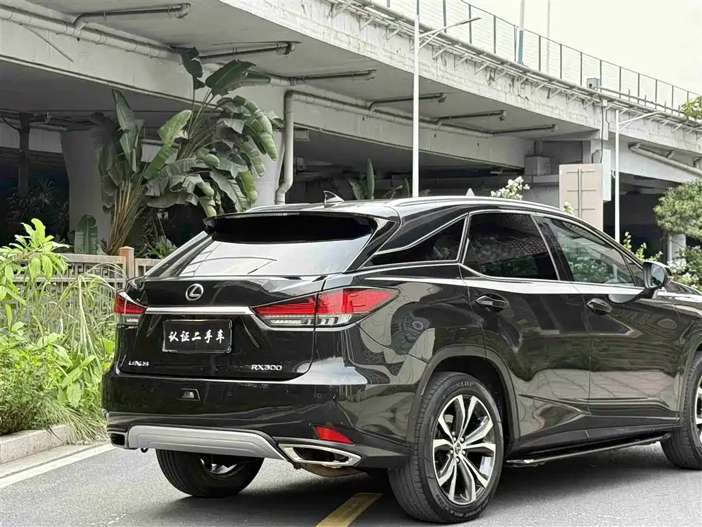Lexus RX 2020 300 4WD Elegance Edition China VI фото 23