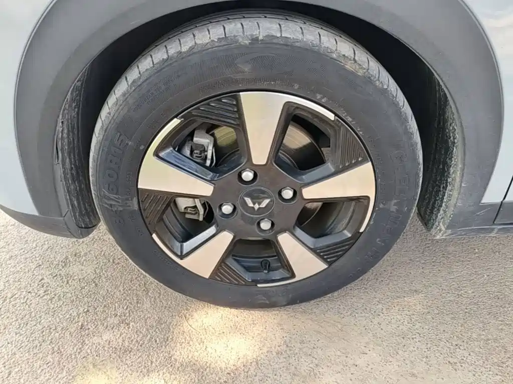 Фото 23 - Wuling Motors Wuling Binguo PLUS