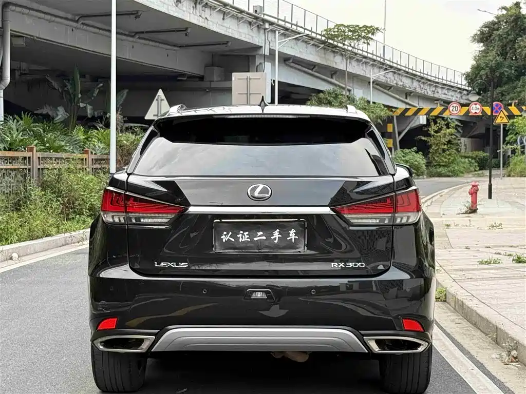Lexus RX 2020 300 4WD Elegance Edition China VI фото 21