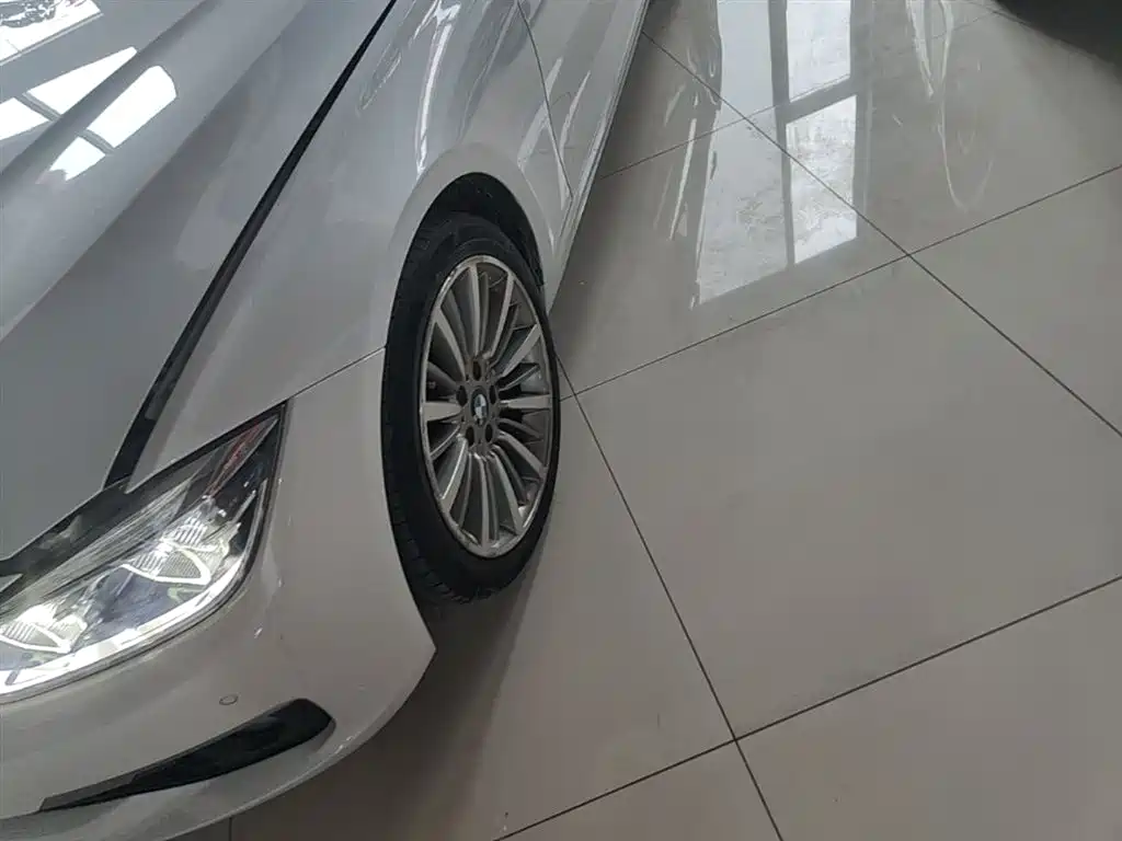 BMW 3 Series 2019 320Li Fashion Type фото 23