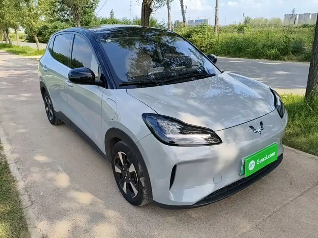 Фото 4 - Wuling Motors Wuling Binguo PLUS