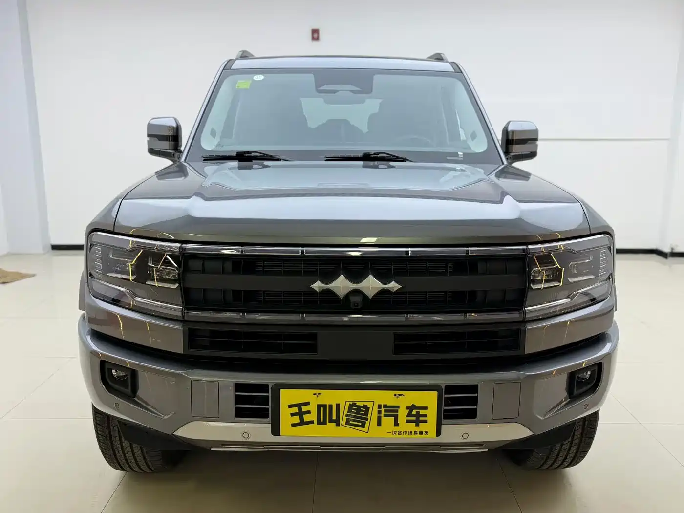 FANG CHENG BAO LEOPARD 5