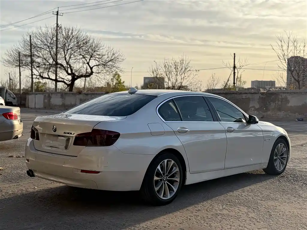BMW 5 Series 2017 525Li Leading Edition фото 13