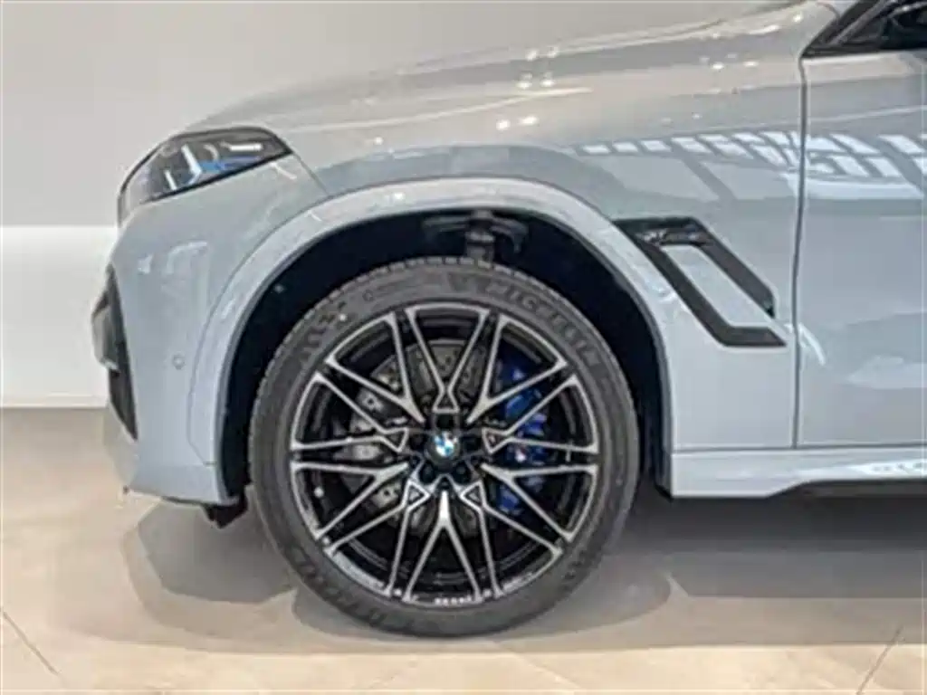 صورة 15 - BMW X6 M