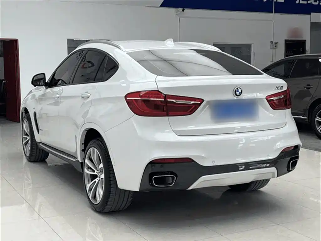 BMW X6 2019 xDrive28i M Sport Package фото 11