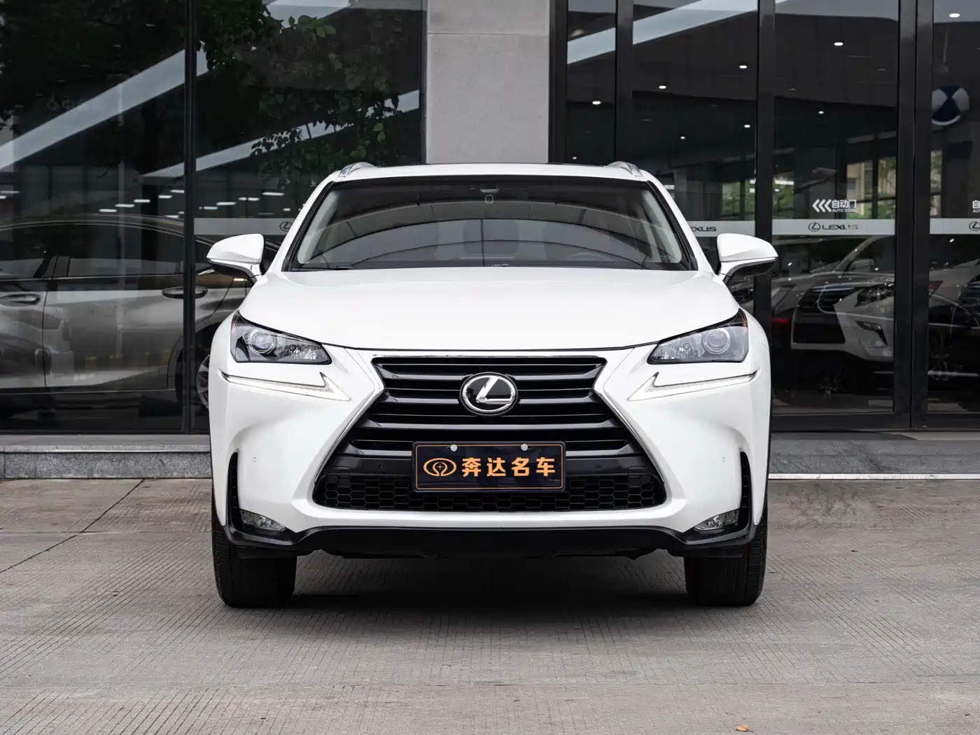 LEXUS NX